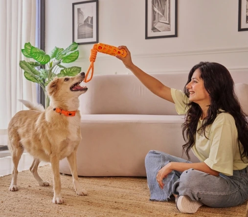 Dog playing happily with owner from Pets Farm pet shop in Kolkata