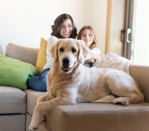 Happy pet owners smiling with their dog from a trusted pet shop