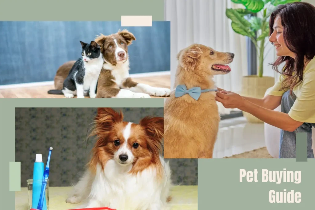dogs and cat with pet owner playing with dog – pet buying guide in kolkata